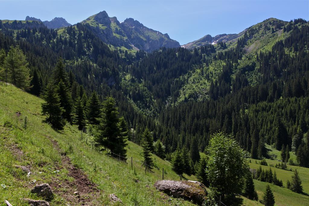 Hotel Le Relais Alpin Les Mosses Bagian luar foto